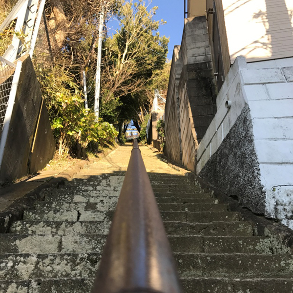 逗子にある天照大神社からの絶景